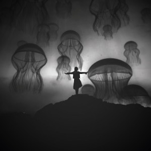 a black tarantula spider dream