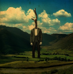 dream-307