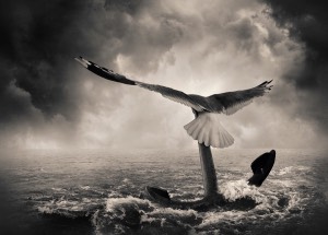 dream-422