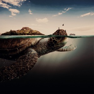 blue and black snake dream