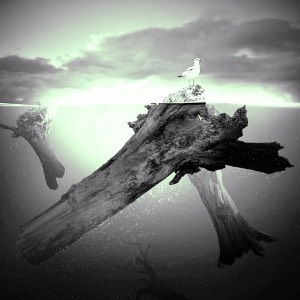what does it mean when you dream of someone faking their death